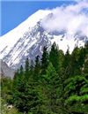 How ‘Pakistan’s Switzerland’ became Taliban land How ‘Pakistan’s Switzerland’ became Taliban land