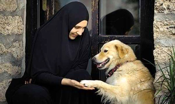 Dog_Pet_NewAgeIslam.jpg